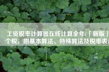 工资税率计算器在线计算全年(「新版」个税，附基本算法、特殊算法及税率表)