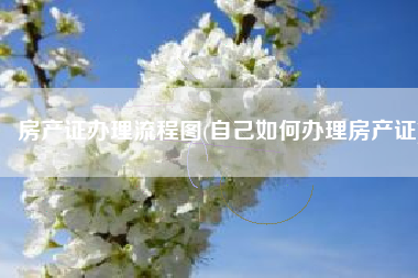房产证办理流程图(自己如何办理房产证)