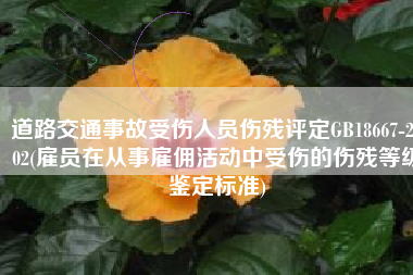 道路交通事故受伤人员伤残评定GB18667-2002(雇员在从事雇佣活动中受伤的伤残等级鉴定标准)