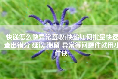 快递怎么做异常签收(快递如何批量快速查出错分 延误 滞留 异常等问题件就用小件侠)