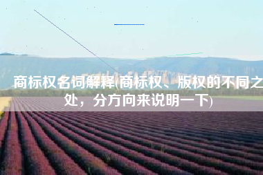 商标权名词解释(商标权、版权的不同之处，分方向来说明一下)