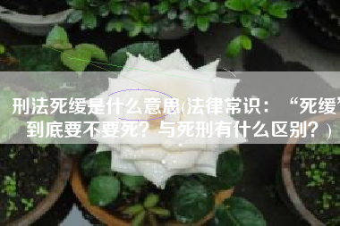 刑法死缓是什么意思(法律常识：“死缓”到底要不要死？与死刑有什么区别？)