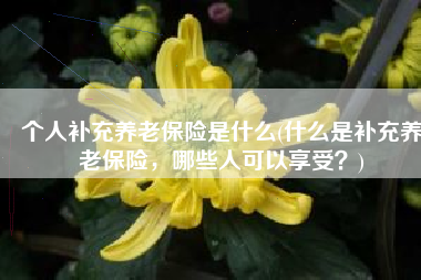 个人补充养老保险是什么(什么是补充养老保险，哪些人可以享受？)