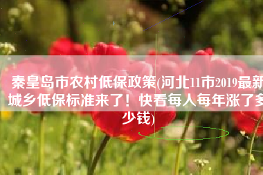 秦皇岛市农村低保政策(河北11市2019最新城乡低保标准来了！快看每人每年涨了多少钱)