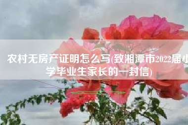 农村无房产证明怎么写(致湘潭市2022届小学毕业生家长的一封信)