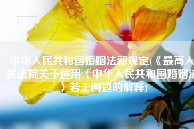 中华人民共和国婚姻法新规定(《最高人民法院关于适用〈中华人民共和国婚姻法〉若干问题的解释)