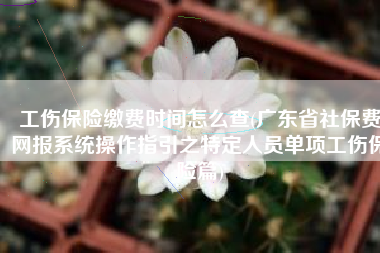 工伤保险缴费时间怎么查(广东省社保费网报系统操作指引之特定人员单项工伤保险篇)