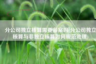 分公司独立核算需要备案吗(分公司独立核算与非独立核算如何规范处理)