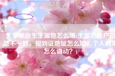 大学毕业生生源地怎么填(生源地和户籍地不一致，报到证地址怎么填？个人档案怎么调动？)