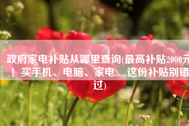 政府家电补贴从哪里查询(最高补贴2000元！买手机、电脑、家电......这份补贴别错过)
