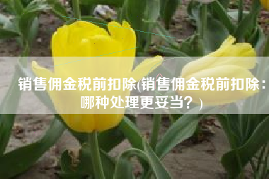 销售佣金税前扣除(销售佣金税前扣除：哪种处理更妥当？)