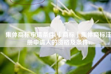集体商标申请条件(「商标」集体商标注册申请人的资格及条件)