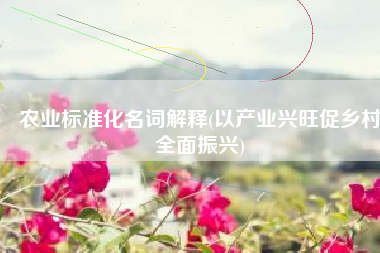 农业标准化名词解释(以产业兴旺促乡村全面振兴)