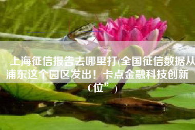 上海征信报告去哪里打(全国征信数据从浦东这个园区发出！卡点金融科技创新“C位”)
