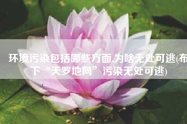 环境污染包括哪些方面,为啥无处可逃(布下“天罗地网”污染无处可逃)
