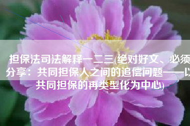 担保法司法解释一二三(绝对好文、必须分享：共同担保人之间的追偿问题——以共同担保的再类型化为中心)