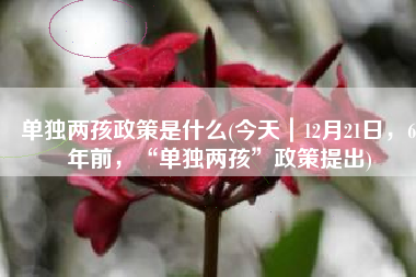 单独两孩政策是什么(今天｜12月21日，6年前，“单独两孩”政策提出)