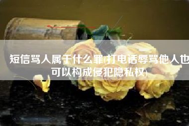 短信骂人属于什么罪(打电话辱骂他人也可以构成侵犯隐私权)