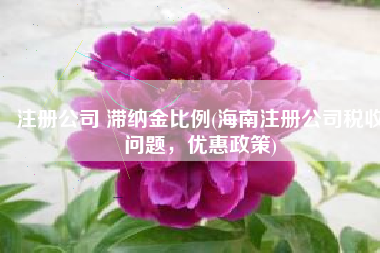 注册公司 滞纳金比例(海南注册公司税收问题，优惠政策)