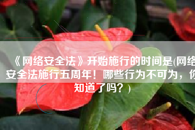 《网络安全法》开始施行的时间是(网络安全法施行五周年！哪些行为不可为，你知道了吗？)