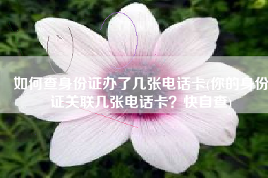 如何查身份证办了几张电话卡(你的身份证关联几张电话卡？快自查)