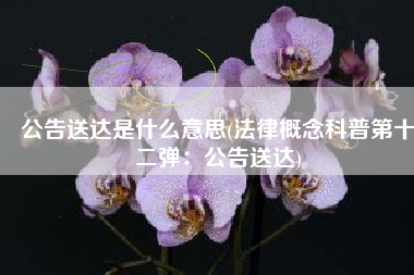 公告送达是什么意思(法律概念科普第十二弹：公告送达)