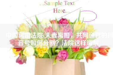中国离婚法院(夫妻离婚，共同运营的抖音号如何分割？法院这样调解)