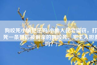 狗咬死小偷犯法吗(小偷入民宅盗窃，打死一条狗后被剩余的狗咬死，宅主人担责吗？)