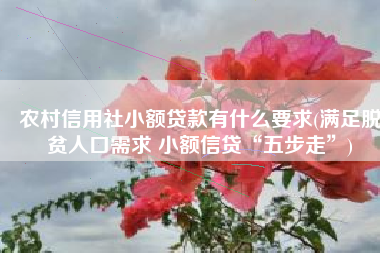 农村信用社小额贷款有什么要求(满足脱贫人口需求 小额信贷“五步走”)