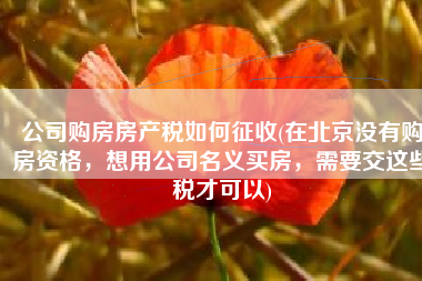 公司购房房产税如何征收(在北京没有购房资格，想用公司名义买房，需要交这些税才可以)