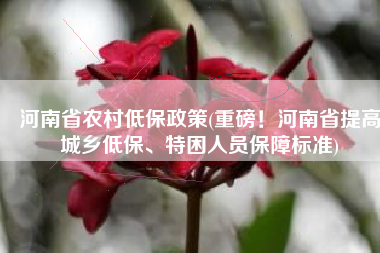 河南省农村低保政策(重磅！河南省提高城乡低保、特困人员保障标准)