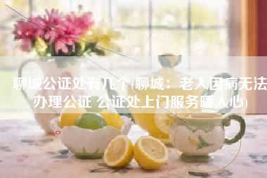 聊城公证处有几个(聊城：老人因病无法办理公证 公证处上门服务暖人心)