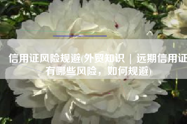 信用证风险规避(外贸知识 | 远期信用证有哪些风险，如何规避)