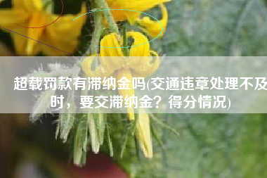 超载罚款有滞纳金吗(交通违章处理不及时，要交滞纳金？得分情况)