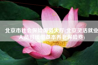 北京市社会保险服务大厅(北京灵活就业人员可缓缴基本养老保险费)