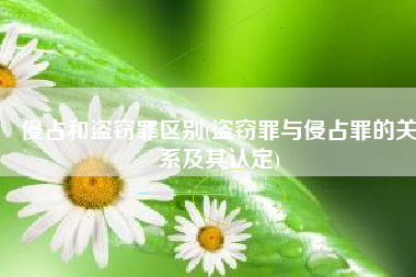 侵占和盗窃罪区别(盗窃罪与侵占罪的关系及其认定)