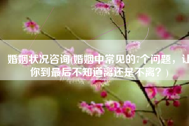 婚姻状况咨询(婚姻中常见的7个问题，让你到最后不知道离还是不离？)