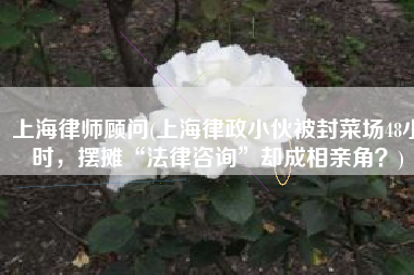 上海律师顾问(上海律政小伙被封菜场48小时，摆摊“法律咨询”却成相亲角？)