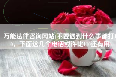 万能法律咨询网站(不要遇到什么事都打110，下面这几个电话或许比110还有用)