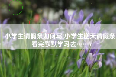 小学生请假条如何写(小学生逆天请假条，看完默默学习去……)