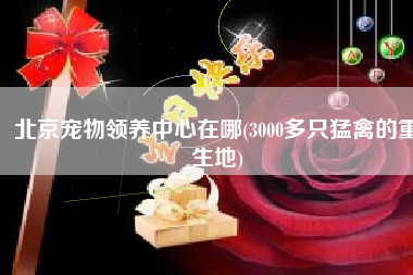 北京宠物领养中心在哪(3000多只猛禽的重生地)