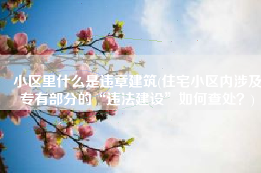 小区里什么是违章建筑(住宅小区内涉及专有部分的“违法建设”如何查处？)