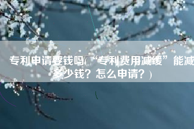 专利申请要钱吗(“专利费用减缓”能减多少钱？怎么申请？)
