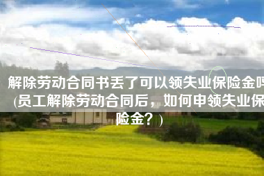 解除劳动合同书丢了可以领失业保险金吗(员工解除劳动合同后，如何申领失业保险金？)