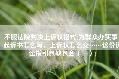 不服法院判决上诉状格式(为群众办实事｜起诉书怎么写，上诉状怎么交……这份诉讼指引包教包会（一）)
