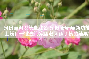 身份查询系统查姓名 身份证号码(新功能上线！一键查询家里老人孩子核酸结果)