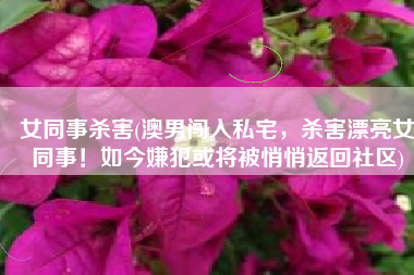 女同事杀害(澳男闯入私宅，杀害漂亮女同事！如今嫌犯或将被悄悄返回社区)