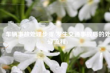 车辆事故处理步骤(发生交通事故后的处理流程)
