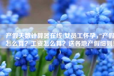 产假天数计算器在线(女员工怀孕，产假怎么算？工资怎么算？送各地产假细则！)