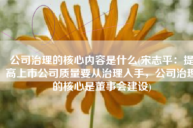 公司治理的核心内容是什么(宋志平：提高上市公司质量要从治理入手，公司治理的核心是董事会建设)